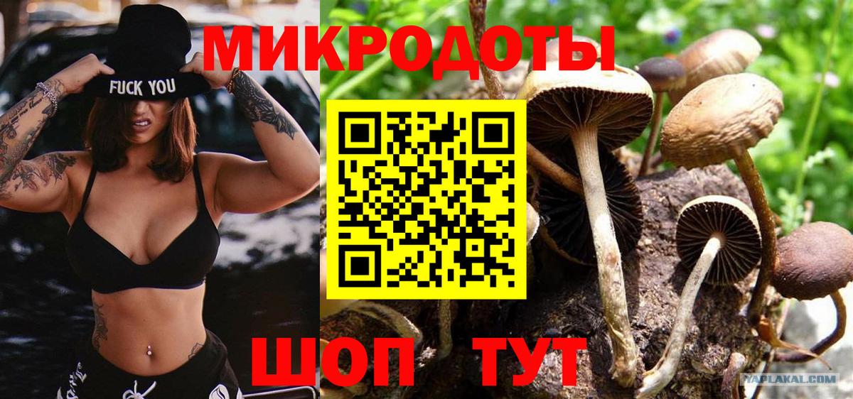 Псилоцибиновые грибы Cubensis Звенигород