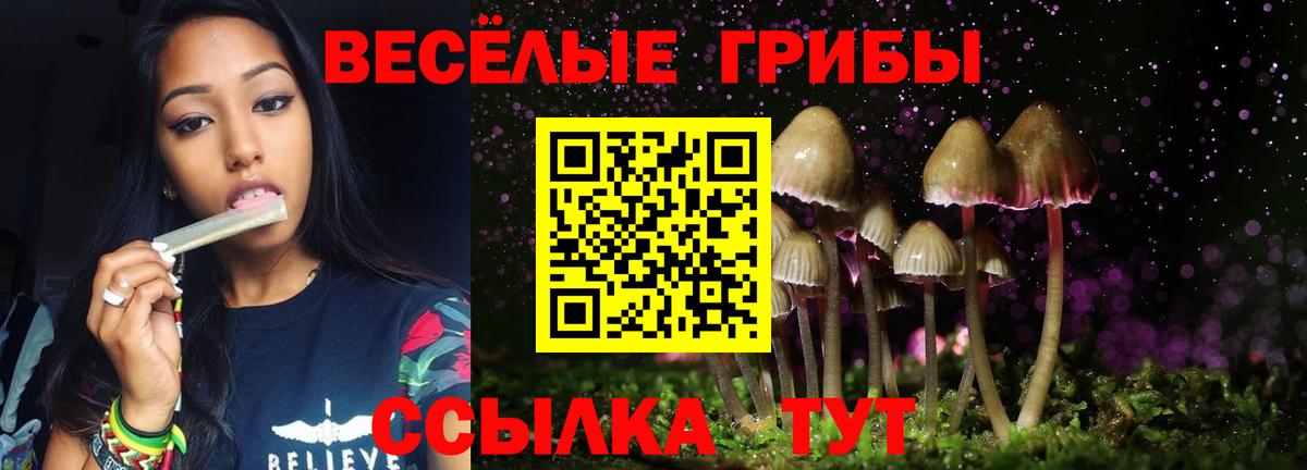 Звенигород  Псилоцибиновые грибы Magic Shrooms  Псилоцибиновые грибы Cubensis  Вход с VPN 